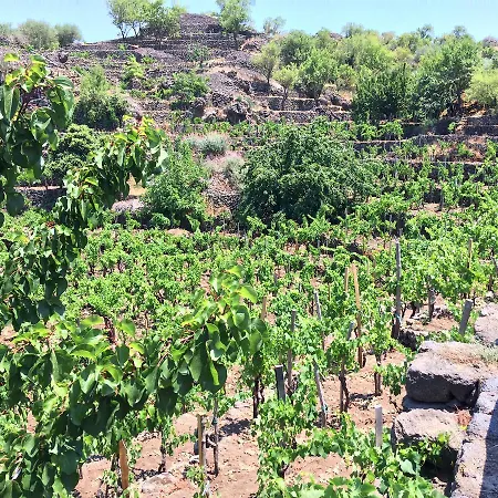 Gospodarstwo wiejskie Rural House Etna